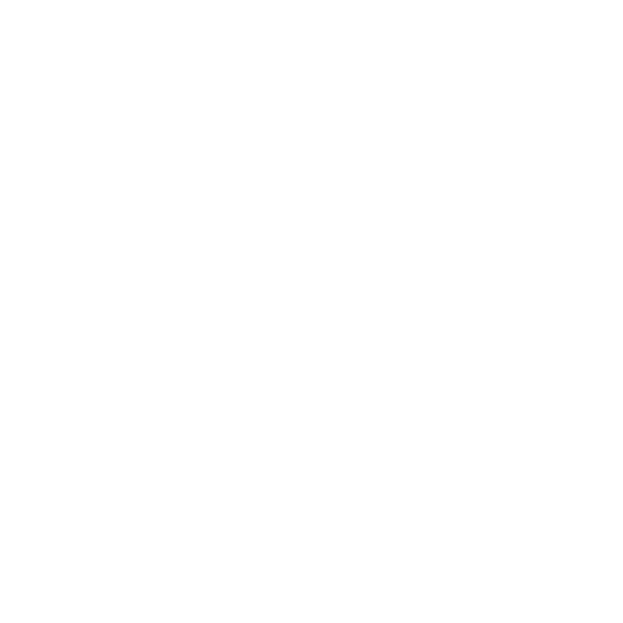 THE SOLVE